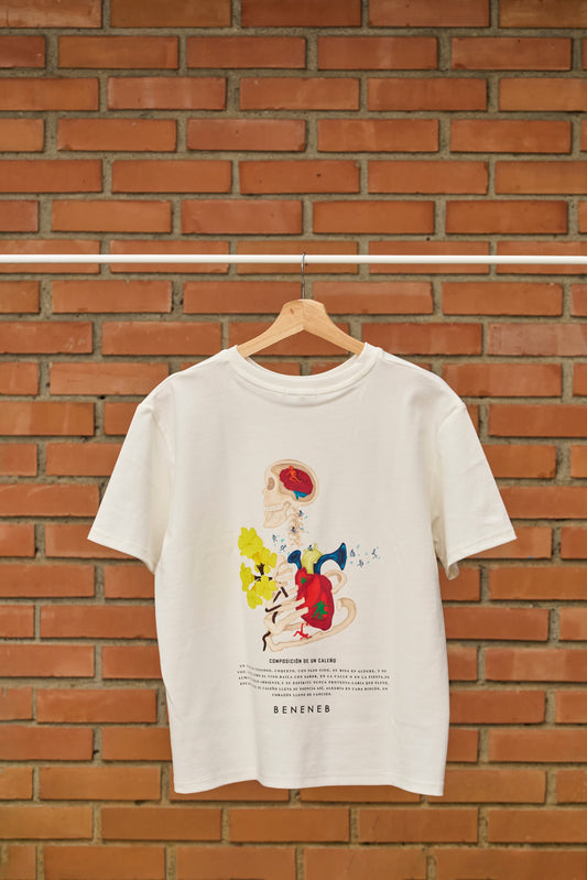 Oversize 1